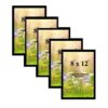 8x12 Photo frame (Set of 5)